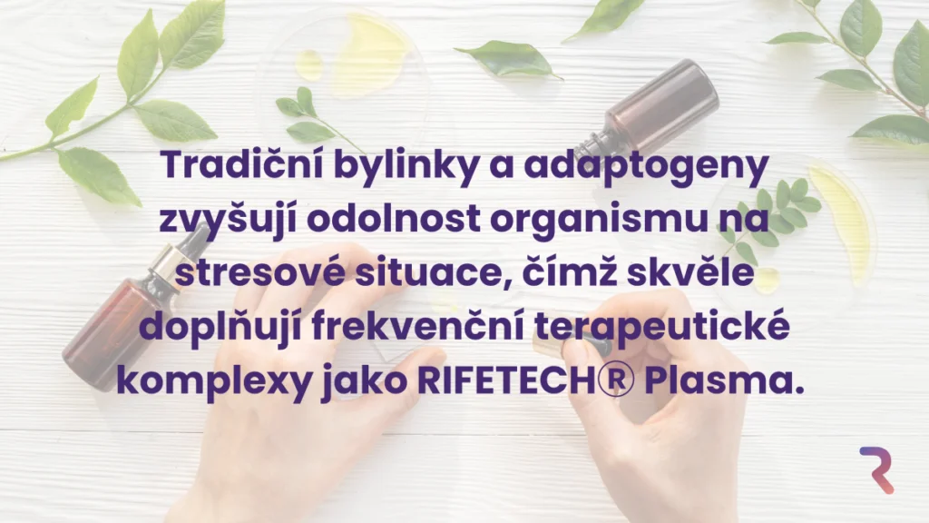 Fytoterapie a adaptogeny skvěle doplňují fyzikální terapii 